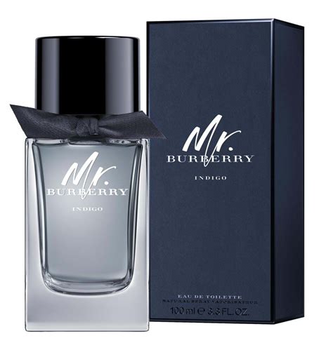 mr. burberry men's aftershave|mr burberry indigo 100ml.